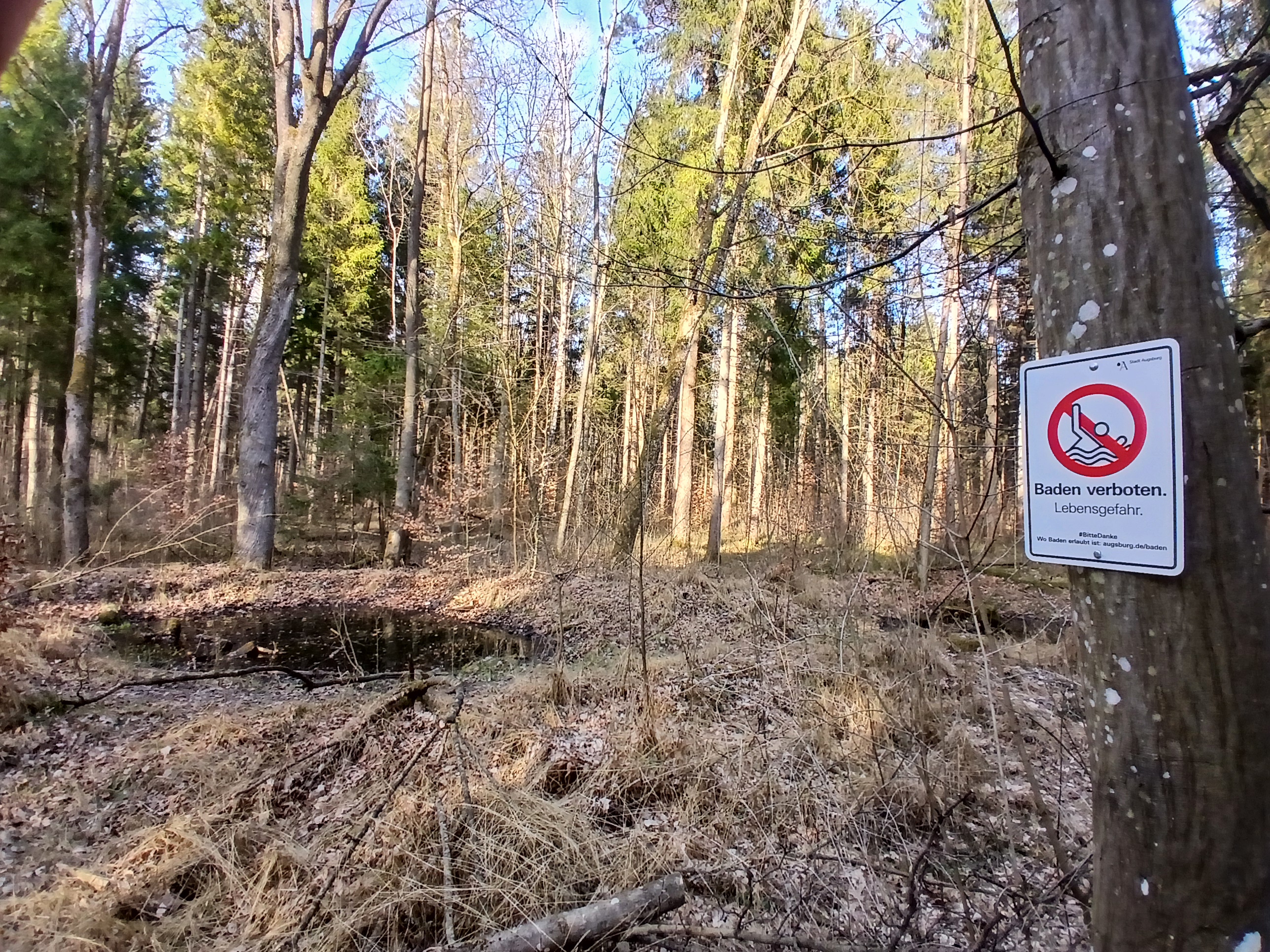 20250402_174038 „Bade in mir!“ – Todestümpel im Siebentischwald (Foto: B.Schiller)