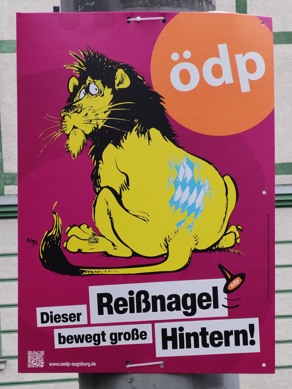 OeDP_600x800